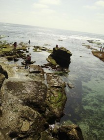LaJolla12